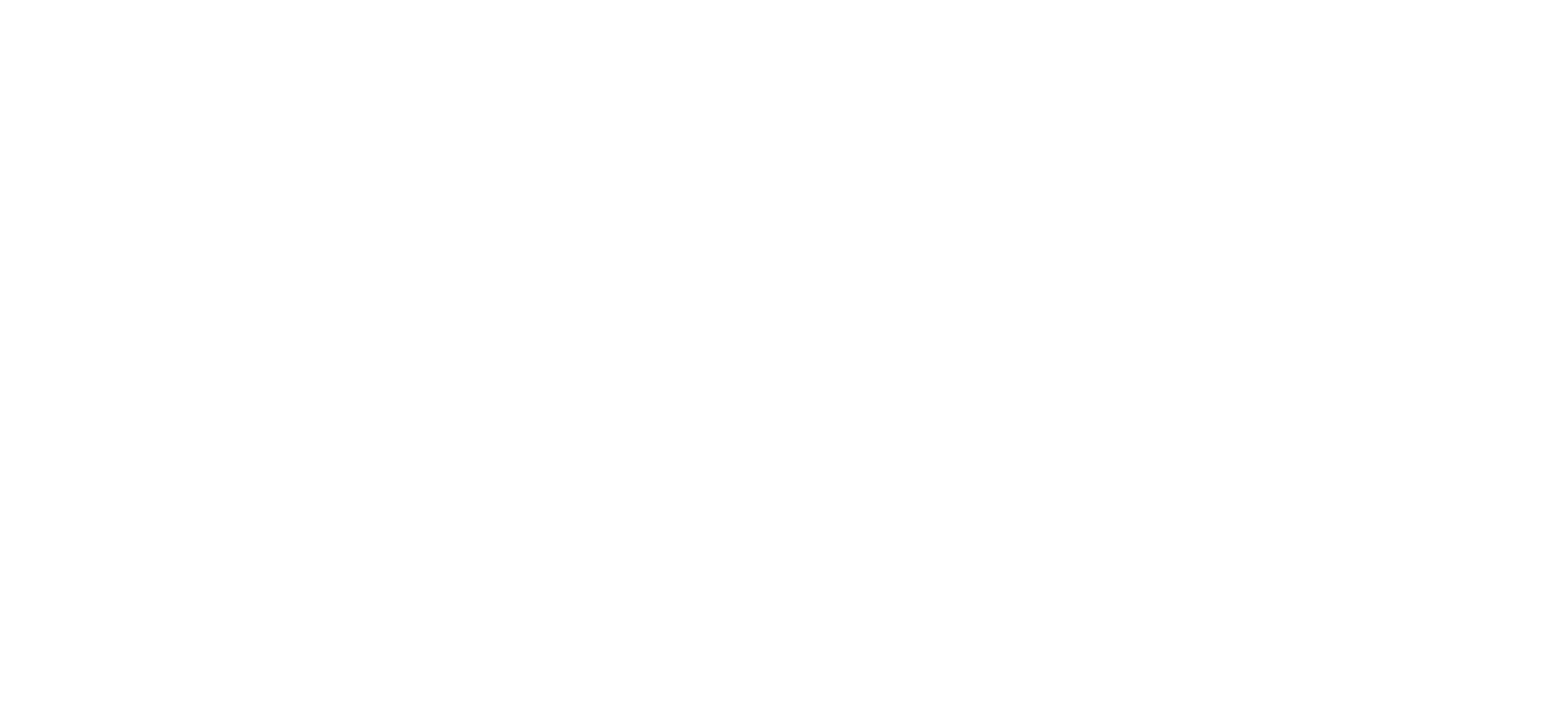 IRIDA Group logo